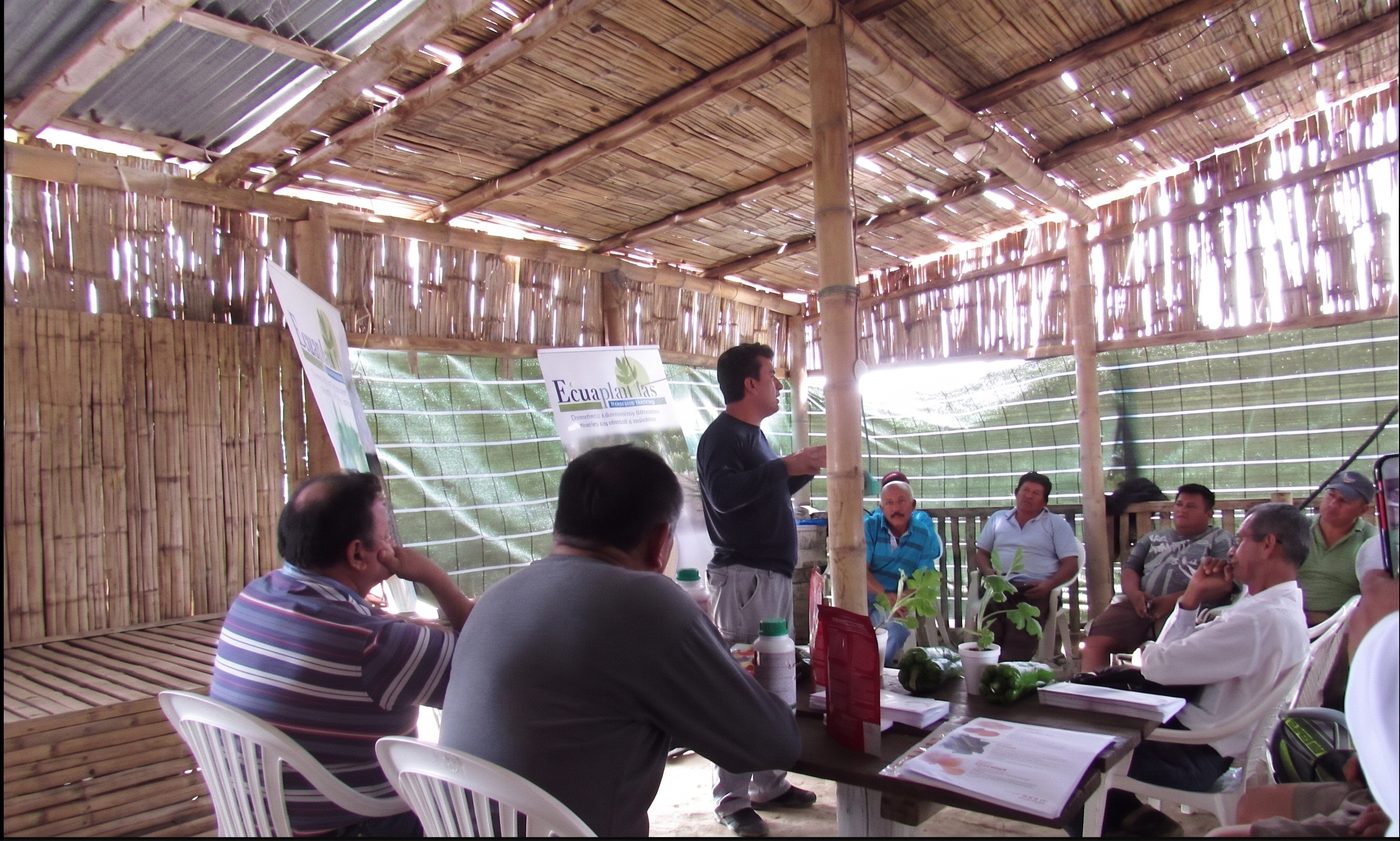 Capacitación técnica a agricultores en campo — Ecuaplantas