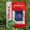 COL MORADA RED JEWEL