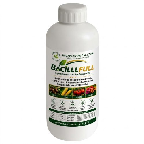 BACILLFULL